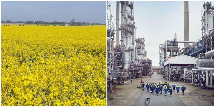 Preem miljardsatsar på rapsolja