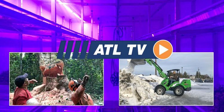 ATL TV: Container ger skörd året runt