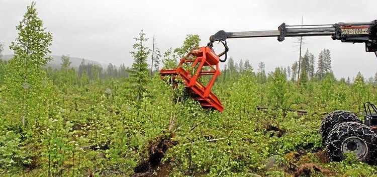 Rotryckning rycker fram