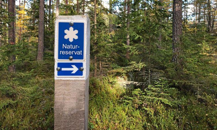 Rapportering av skyddad mark ses över