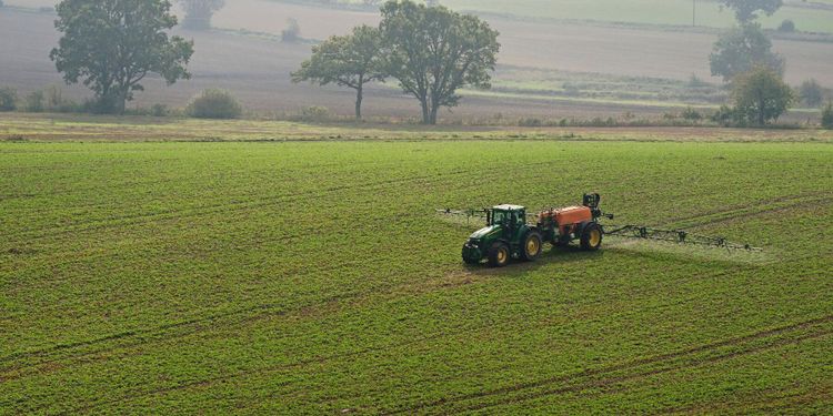 Reglone skadligare än vad forskare tidigare trott