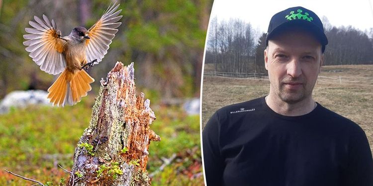 Missnöjd med domen trots ja till avverkning