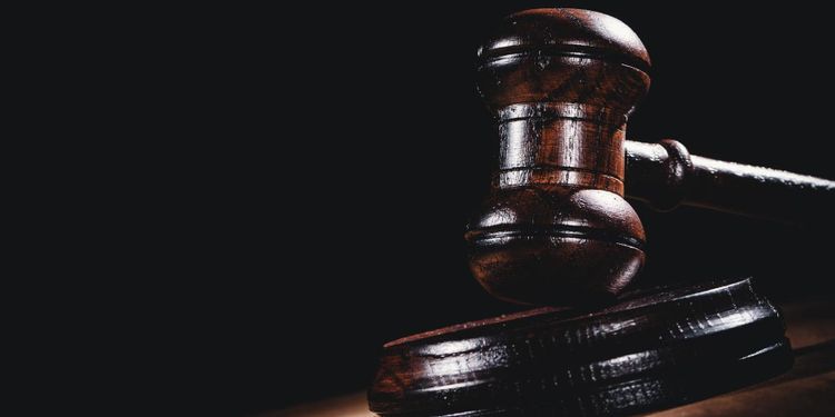 Lantbrukare döms för djurplågeri