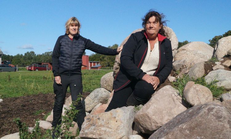 Stenhög vid åkern klassas som biotop