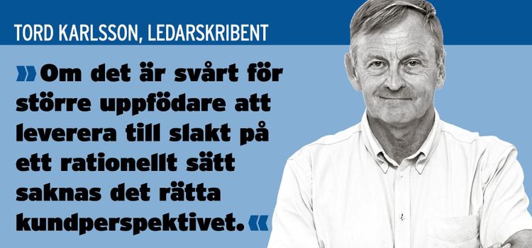 Fårnäringen förtjänar ett lyft