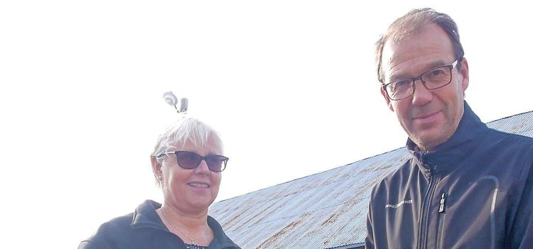 De säljer skogsplantor för miljoner