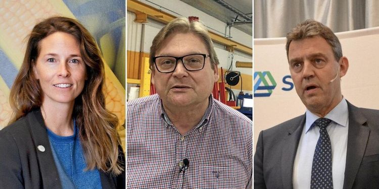 Granskning: Stor skillnad mellan gröna bolagen