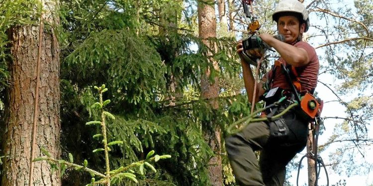 ATL TV: Han skruvar sig upp i träden