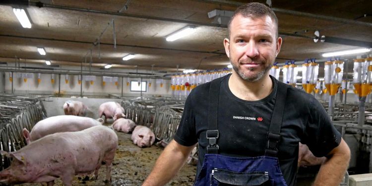 Dansk grisbonde satsar på lösdrift