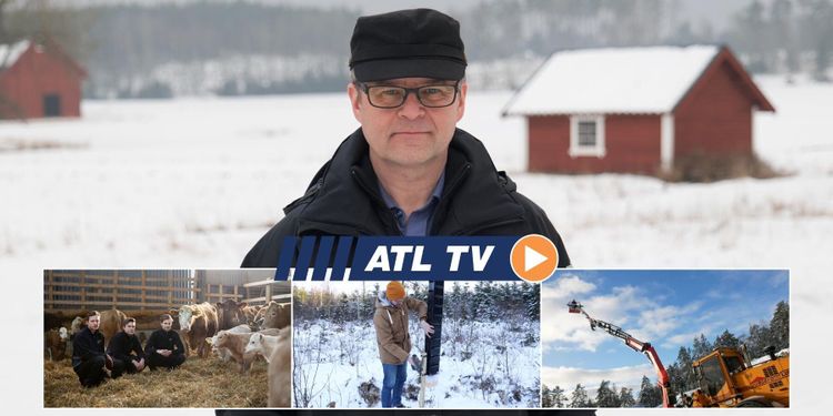 ATL TV: Ny barkborrefälla byggs på höjden