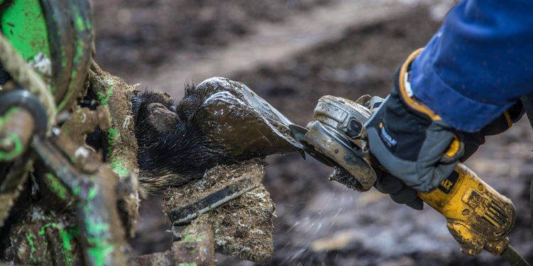 Fullt hus på utbildning till klövvårdare