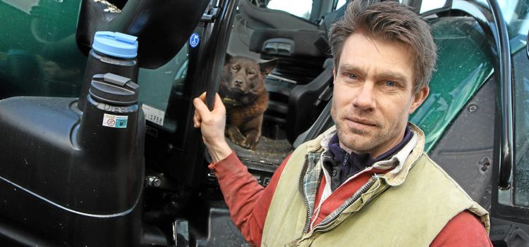 Mindre vallskörd efter torka i juli