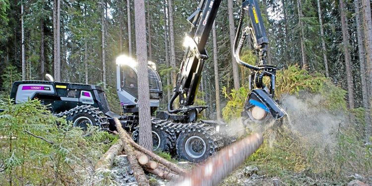 Rekordnivåer på avverkningsanmälningarna