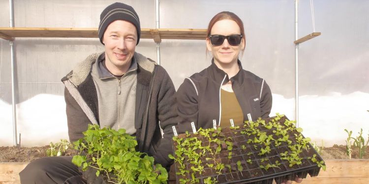 En grön oas som ska hålla på lång sikt