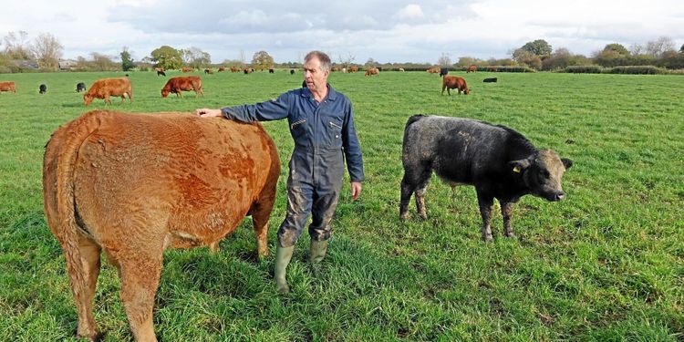 Svenska lantbrukare mest optimistiska
