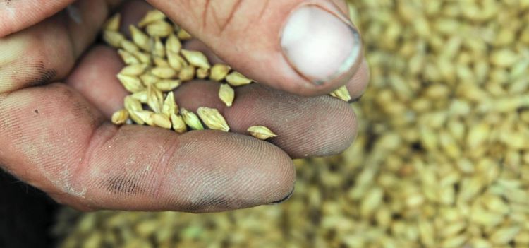 Experternas råd efter problemsäsong