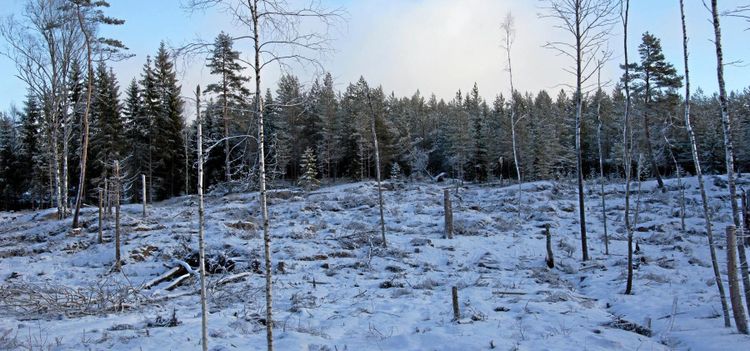 Här är Sveriges mest attraktiva arbetsplats