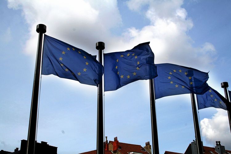 Miljöorganisationer lockade flest att svara