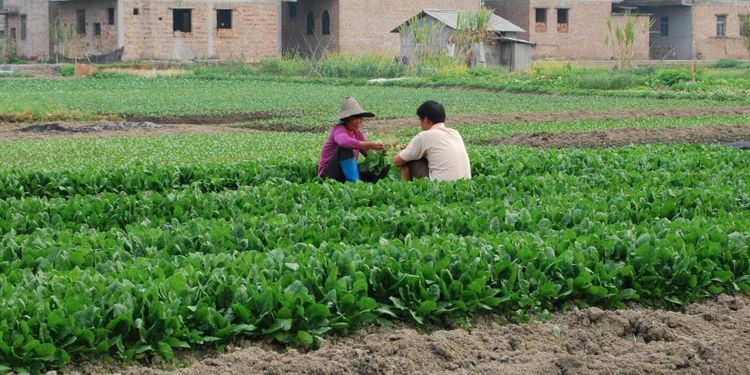 Bucht besöker Kinas största livsmedelsmässa