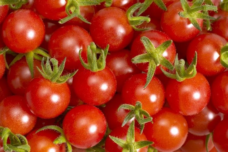 Tomatodlare vill expandera