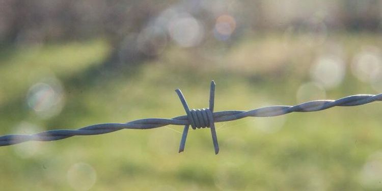 Hästägare får böta för taggtrådstängsel