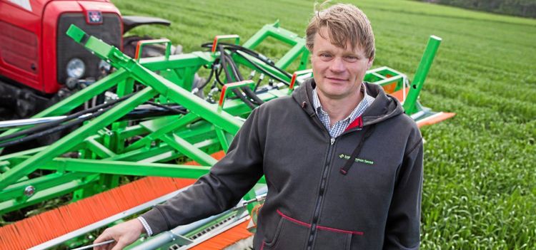 Han vinner kampen mot tistlarna