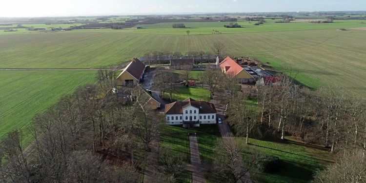 ATL TV: De dubblar ekogrisarna till egna varumärket