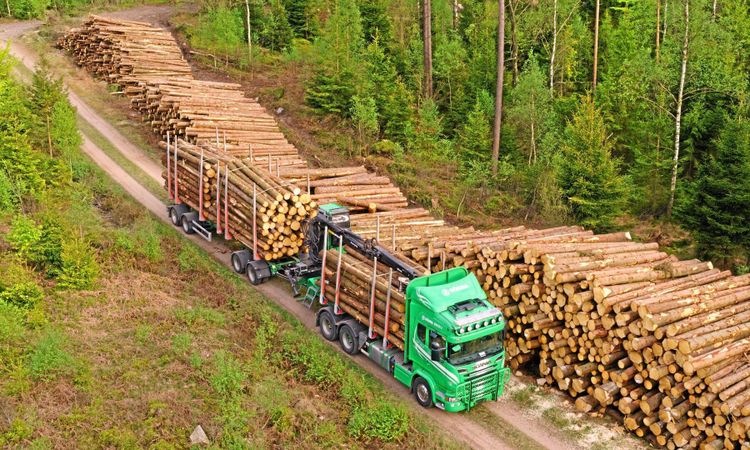 Södras ägare vinnarna