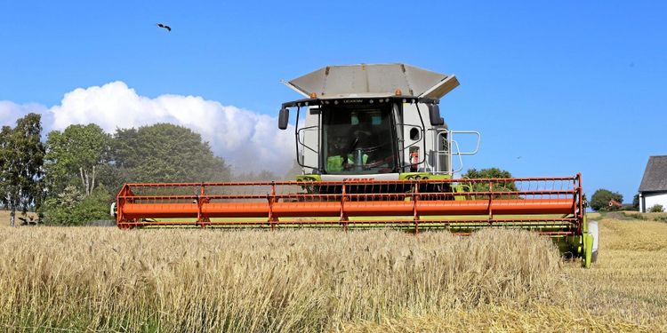 Så tror lantbrukare om framtiden