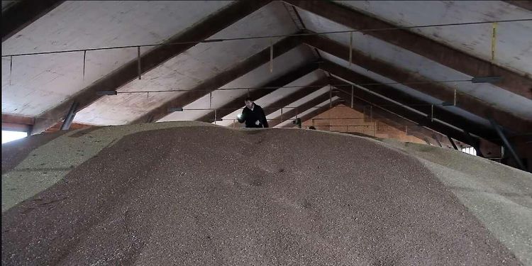 ATL TV: Risk för fuktvandring i spannmålen