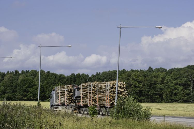 Stora Enso ökar - men bara lite