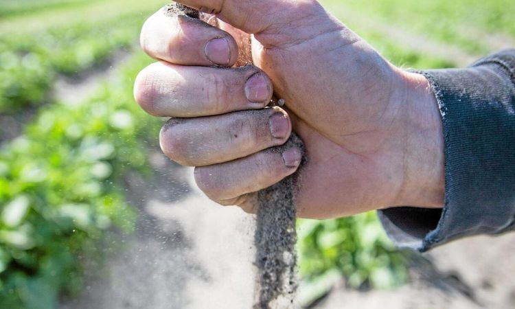 SMHI: "Prognosen ser inte god ut"