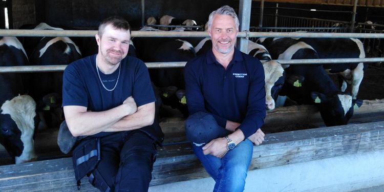 Nordligt slakteri söker nya kunder