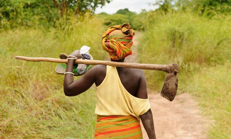 ”Bönder med småskaliga jordbruk förföljs och mördas”