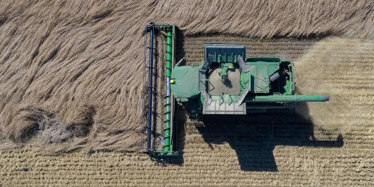 Livsmedelsförsörjningen stod pall för pandemin