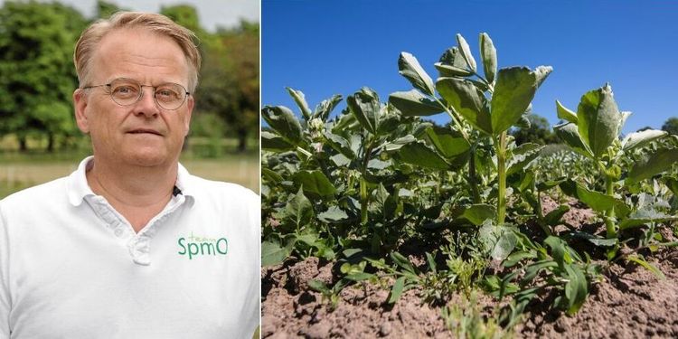 Lantmännen slutar ta emot vissa grödor