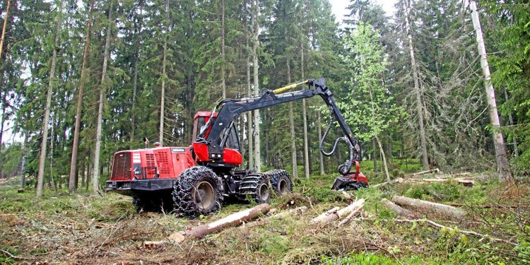 Betala inte ut efterlikviden, Mellanskog