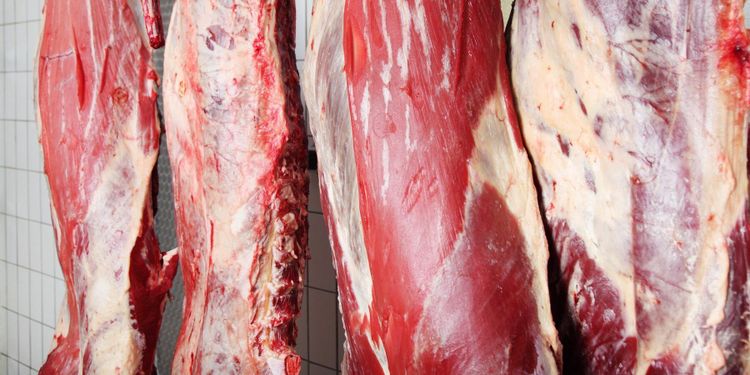 Slakteri kan tvingas betala 100 000 i vite