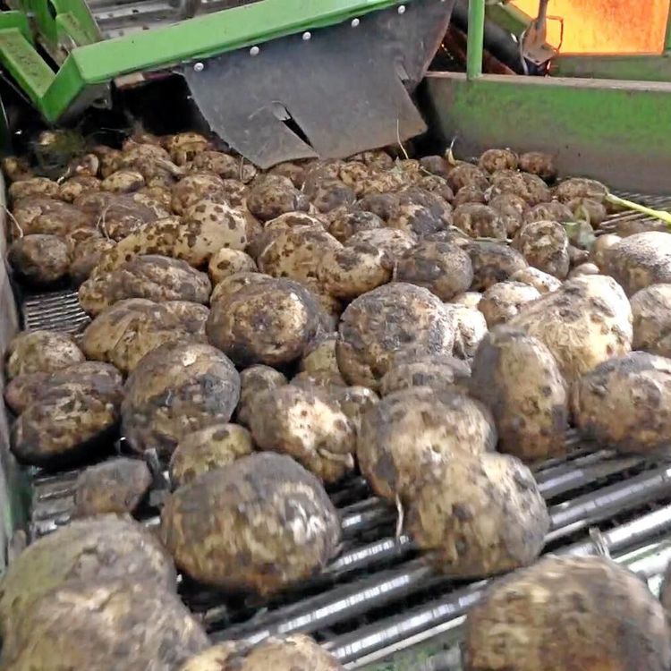 Debatt: Stärkelseföreningens insatsförslag slår snett