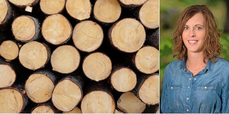 Sexismen hotar hela skogsbranschen