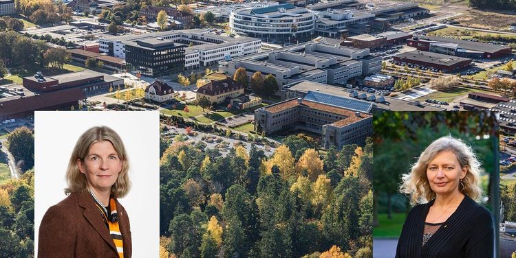 Två i slutstrid om rektorspost på SLU