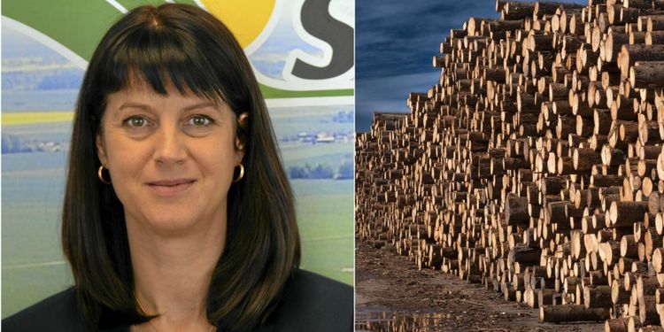 Södras miljardköp väcker kritik