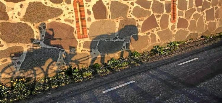 Hennes häst bjöds ut i falsk annons