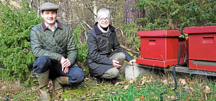 De vill sprida kunskap om skogens guld