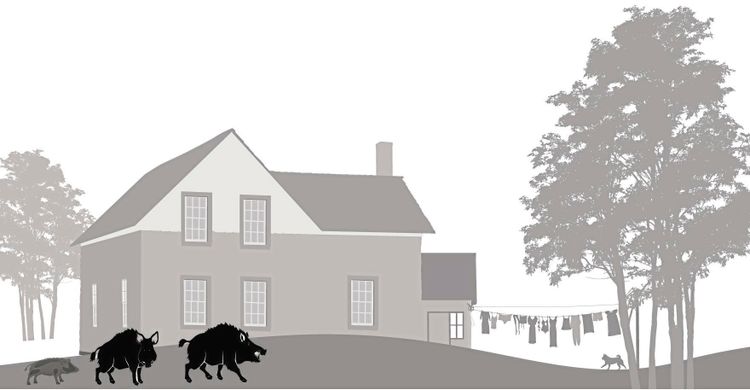 Ta vildsvinsfrågan på allvar