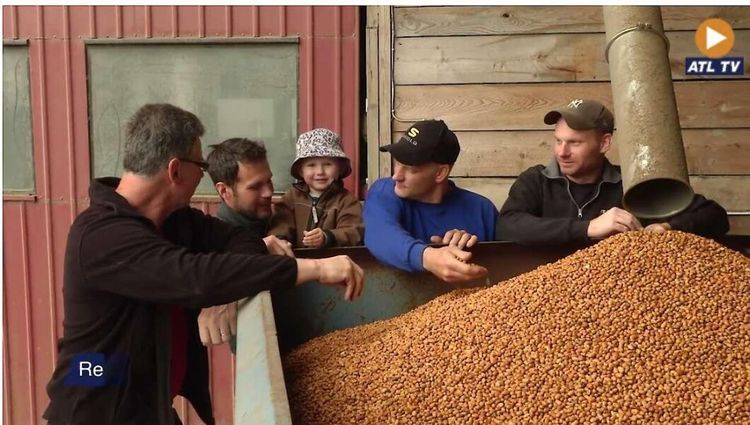 Rostning lyft för mjölkproducent