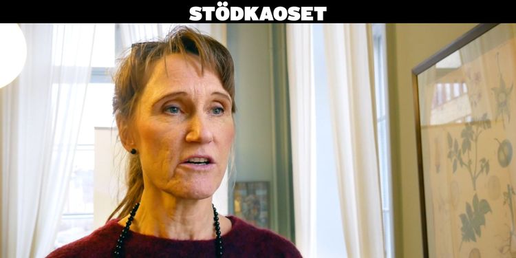 Jordbruksverkets generaldirektör: "Vi har inte lyckats"