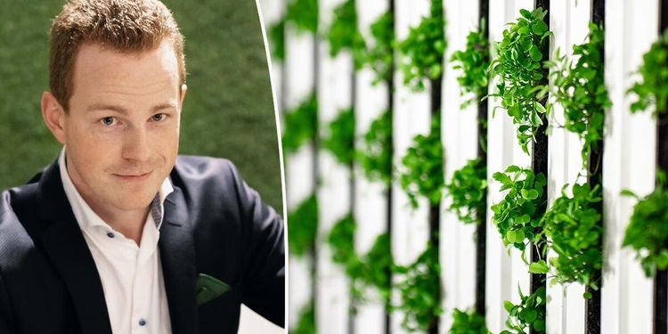 Vertikal sallatsodling får 50 miljoner i riskkapital