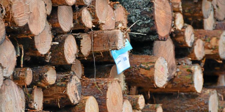 Mycket oklart om ny massavedsmätning