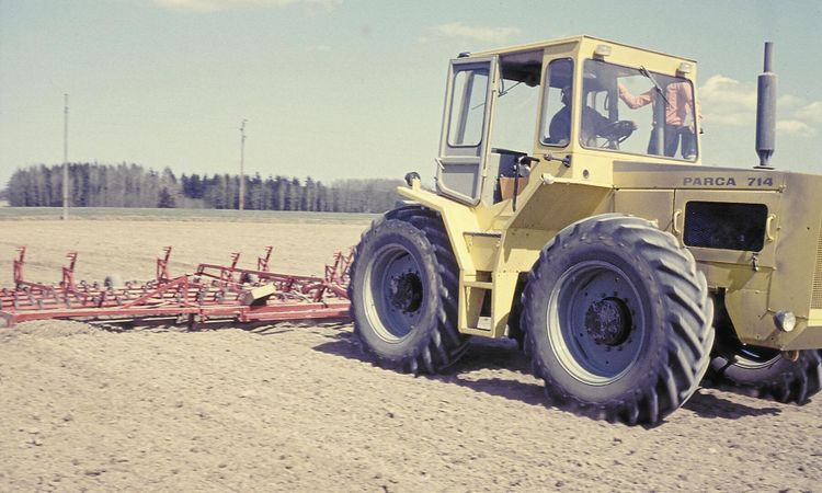 Sällsynt svensk stordragare visas upp